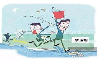 禁渔期使用禁用工具非法捕捞，8人获刑并修复生态