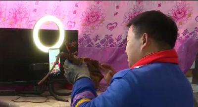 手机变成新农具 湖北10多万乡亲变电商“网红”