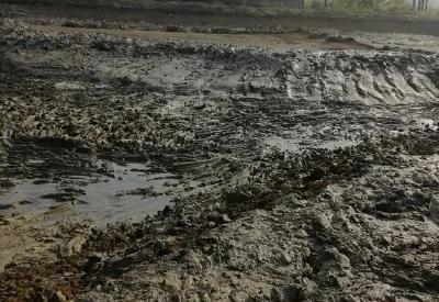 淤泥有利又有弊，水产养殖者应该如何应对淤泥这个棘手的问题呢？