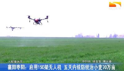 襄阳枣阳：启用150架无人机 五天内统防统治小麦70万亩