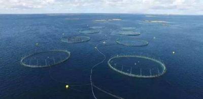 农业农村部渔业渔政管理局局长刘新中就《农业农村部关于促进“十四五”远洋渔业高质量发展的意见》答记者问