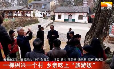 一棵树兴一个村 乡亲吃上“旅游饭”