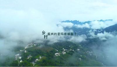 企业形象宣传片