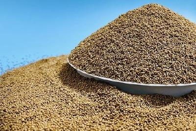 重磅利好 | 配合饲料替代幼杂鱼取得重大突破！