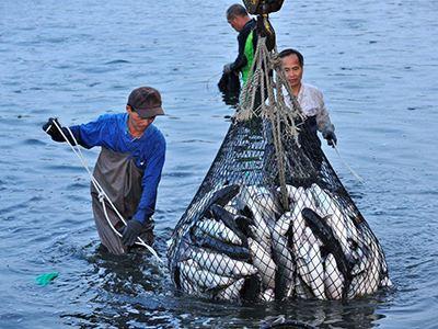 湖北省黄冈市蕲春县农业农村局：盘活水产资源 做足渔业文章