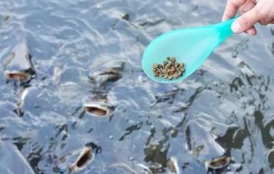 通过分析我国水产养殖用药现状与对策，了解水产经常用的有哪几种？