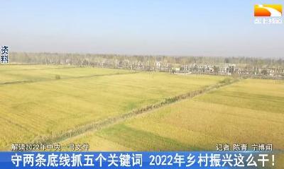 守两条底线抓五个关键词 2022年乡村振兴这么干！