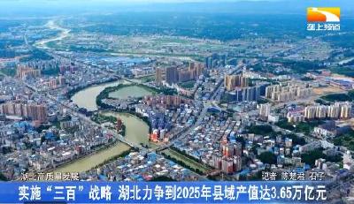 实施“三百”战略 湖北力争到2025年县域产值达3.65万亿元