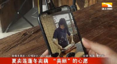 夏卖莲蓬冬卖藕 “美丽”的愿望