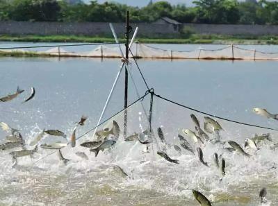 改革落地！中国渔业互助保险社获批筹建