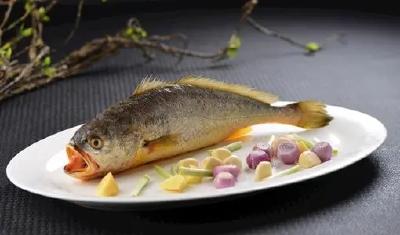 为什么舟山大黄鱼最好吃？