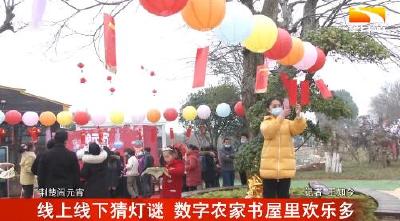 线上线下猜灯谜 数字农家书屋里欢乐多