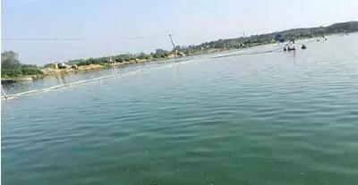 浅析不同增氧方式对养殖水体环境和养殖对象的影响