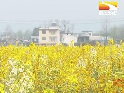 春日赏花正当时 农旅融合促增收