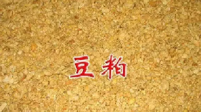 暴涨！原材料价格创历史新高，新一轮饲料涨价潮还要来？