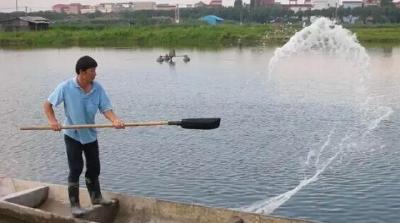 消毒清塘开始了，不要忽视了余氯对投苗的影响