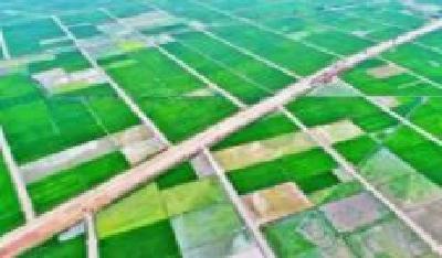 武汉规划10年建设270万亩高标准农田