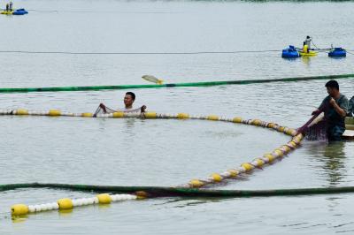 门外汉变身水产专家——老河口退伍军人舒伟返乡养鱼记