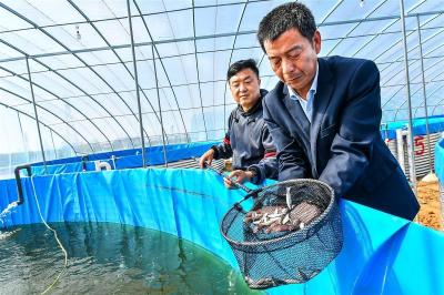 圆桶养鱼 ,武汉新洲打造绿色养殖项目