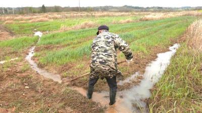 如何应对倒春寒？黄陂农技专家田间地头支招