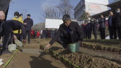 十堰农业技术培训到田间 奏响春耕生产“椒”响曲