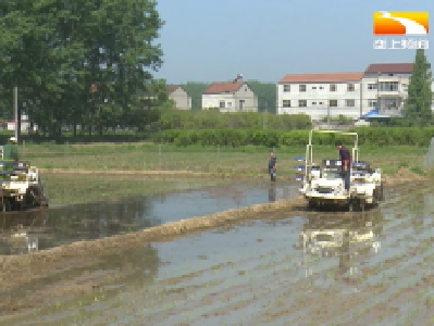 耕在“荆”春丨农资柴油价格上涨 春耕成本“水涨船高”