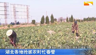 湖北各地抢抓农时忙春管