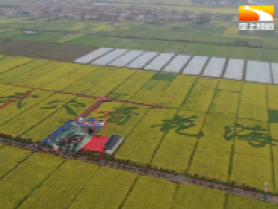 香飘全国! 武穴全链条榨好“一壶油”