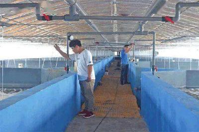 精准管控 节能环保 数字化绿色养殖技术为农业发展之路“打样”