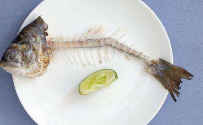 中国工程院院士刘少军：从“吃鱼难”到“吃好鱼”如何打造餐桌上的优质蛋白中国水产品