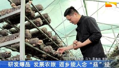 研发爆品 发展农旅 返乡能人念“菇”经