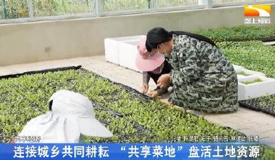 连接城乡共同耕耘 “共享菜地”盘活土地资源