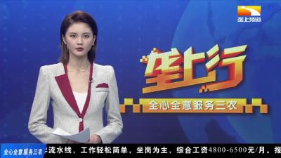 湖北首次推广种青虾鱼连养技术 一池两用效益高