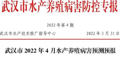 武汉市 2022 年 4 月水产养殖病害预测预报