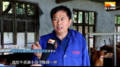 独臂乡亲搞生态养殖 卖鸡蛋十年不涨价