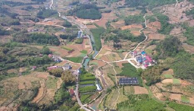 农旅融合 坳上村把荒地玩出新“花”样