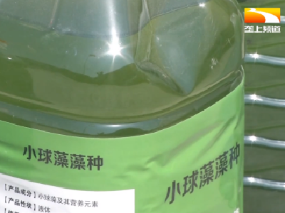 菌藻平衡净化水质 鱼虾健康养