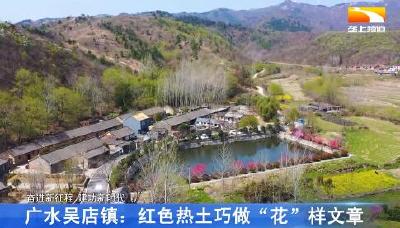 广水吴店镇：红色热土巧做“花”样文章