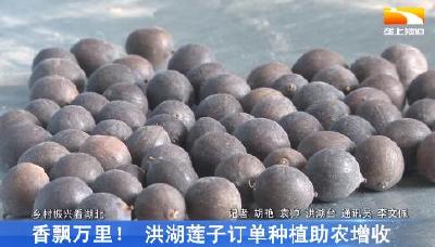 香飘万里 ！ 洪湖莲子订单种植助农增收