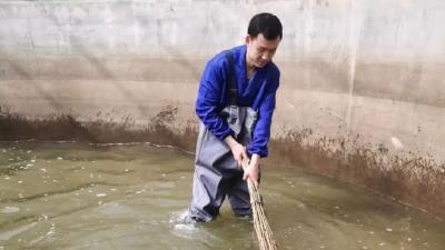 践行“把论文‘写’在池塘边”，市水产中心专技人员驻点服务工作正式开始