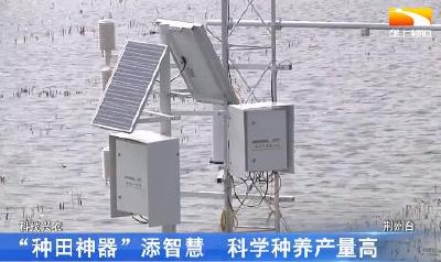 “种田神器”添智慧 科学种养产量高
