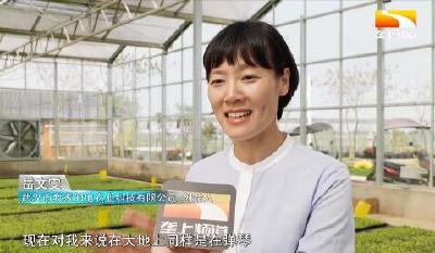 海归博士回乡种菜 以地为谱续写有机田园交响曲