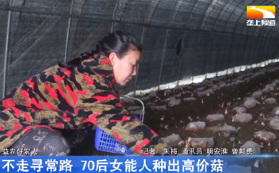 不走寻常路 70后女能人种出高价菇