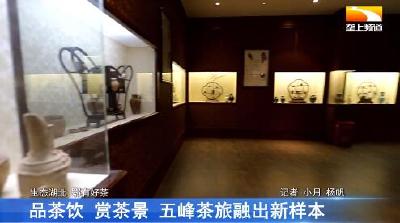 品茶饮 赏茶景 五峰茶旅融出新样本