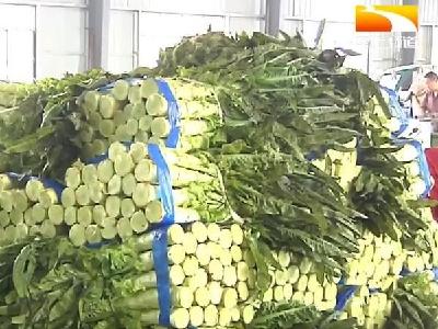 荆州蔬菜上市量增加 5月中旬菜价将逐渐回落