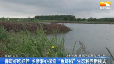 裸斑好吃好养 乡亲潜心探索“鱼虾稻”生态种养新模式