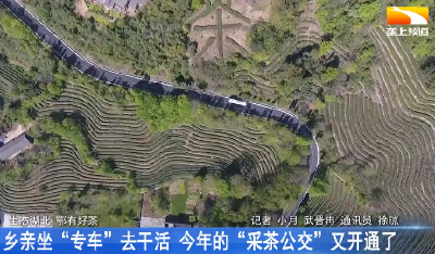乡亲“专车”去干活 今年的“采茶公交”又开通了