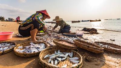 武汉新洲区渔业企业率先投保渔业安责险