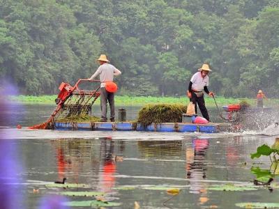 人与自然的和谐之美 “水上园丁”呵护东湖