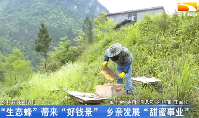 “生态蜂”带来“好钱景” 乡亲发展“甜蜜事业”